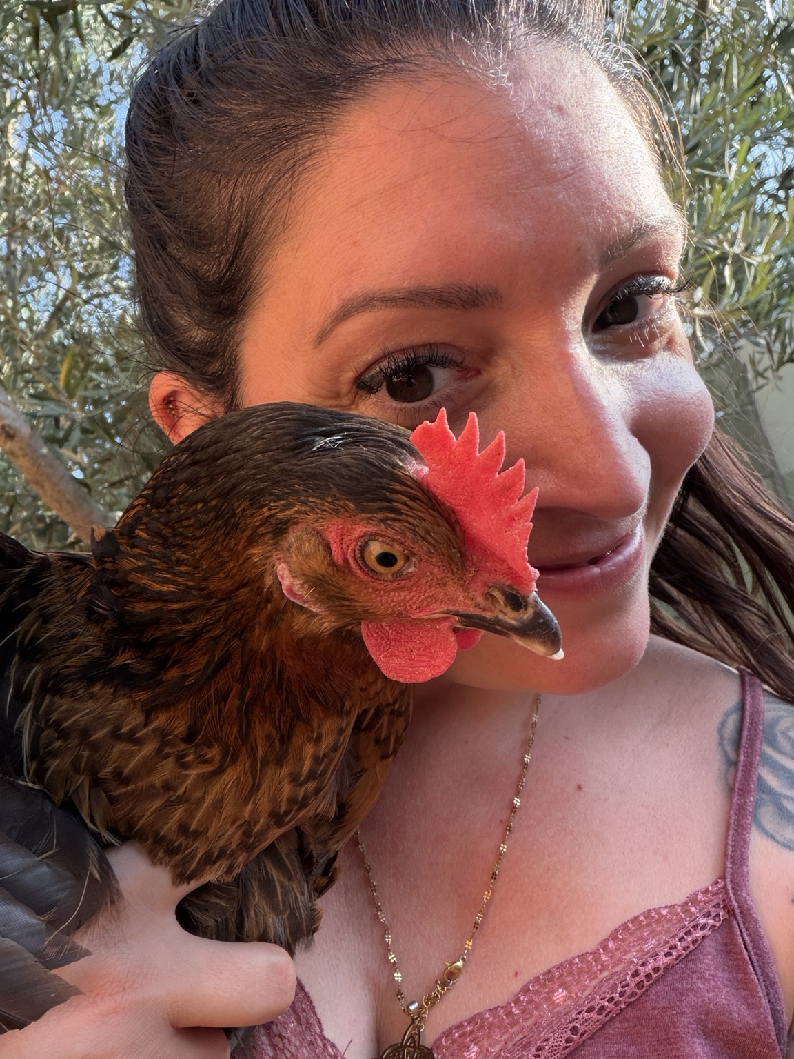 Aurore avec une poule de la famille Bastet