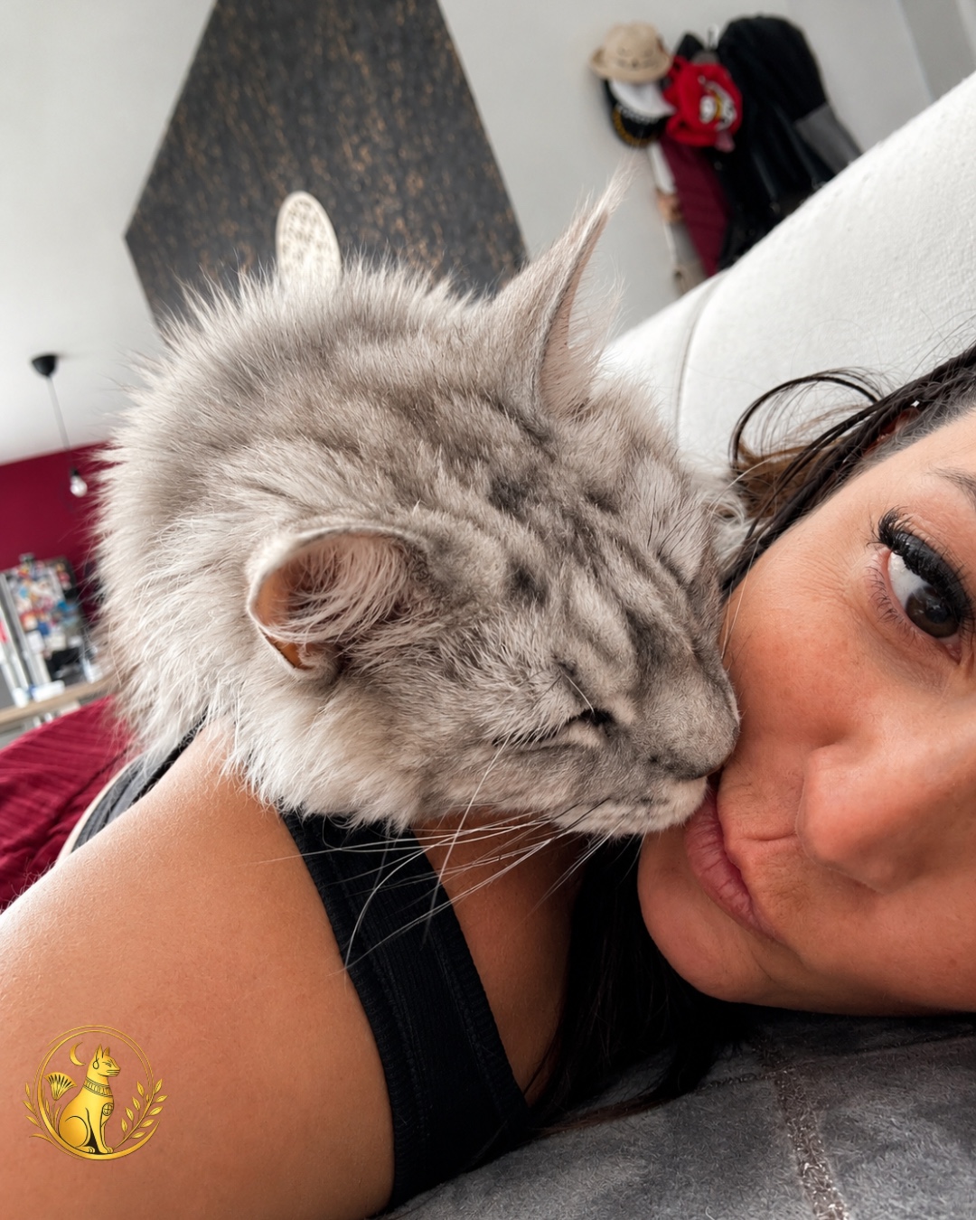 Aurore avec Viking